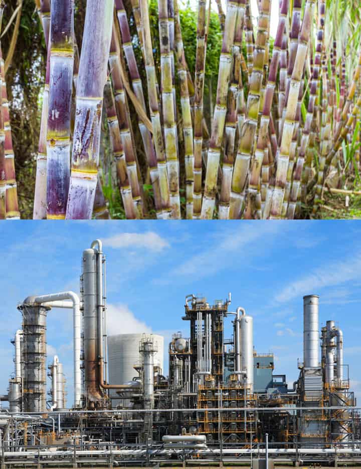 Sugar Processing Chemicals Exporters